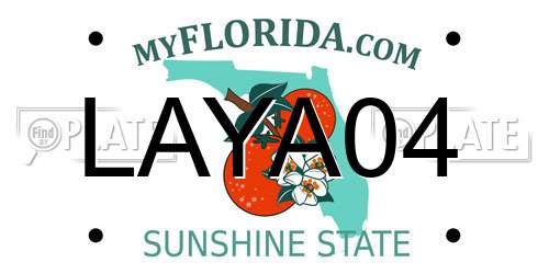 LAYA04 Florida License Plate