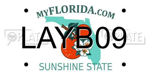 LAYB09 Florida License Plate