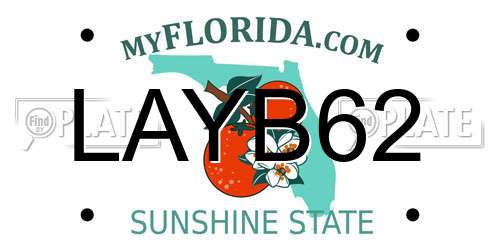LAYB62 Florida License Plate