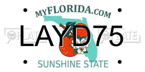 LAYD75 Florida License Plate
