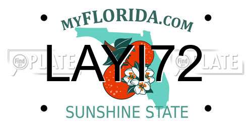 LAYI72 Florida License Plate