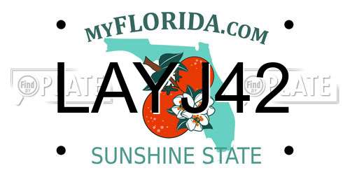 LAYJ42 Florida License Plate