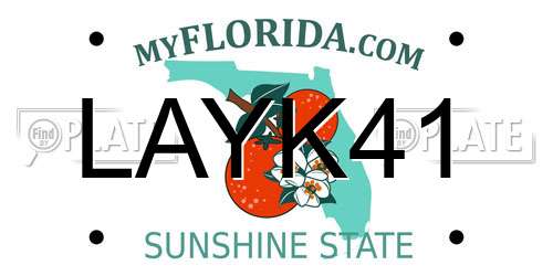 LAYK41 Florida License Plate