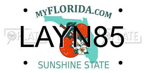 LAYN85 Florida License Plate