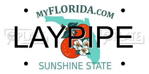 LAYPIPE Florida License Plate