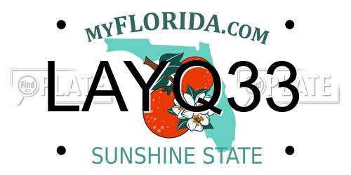 LAYQ33 Florida License Plate