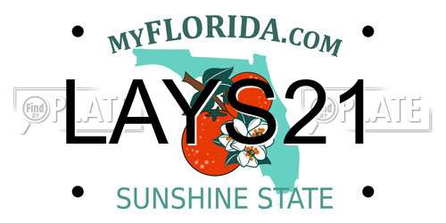 LAYS21 Florida License Plate