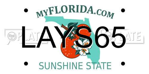 LAYS65 Florida License Plate