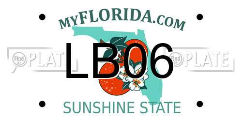 LB06 Florida License Plate
