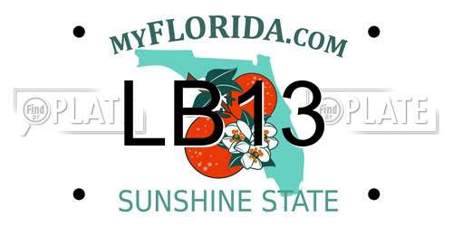 LB13 Florida License Plate