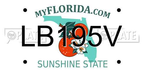 LB195V Florida License Plate