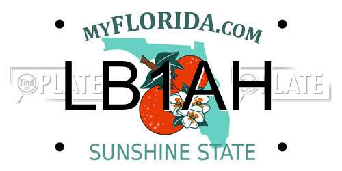 LB1AH Florida License Plate