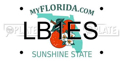 LB1ES Florida License Plate