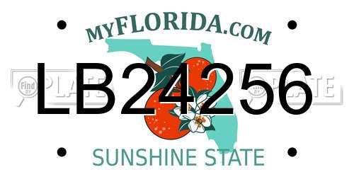 LB24256 Florida License Plate