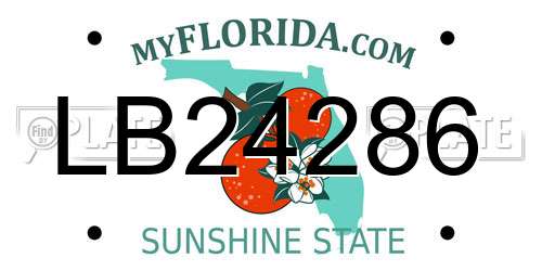 LB24286 Florida License Plate