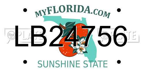 LB24756 Florida License Plate