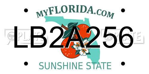 LB2A256 Florida License Plate