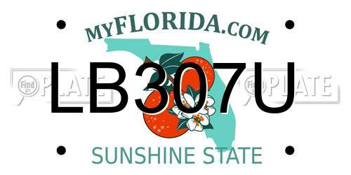 LB307U Florida License Plate