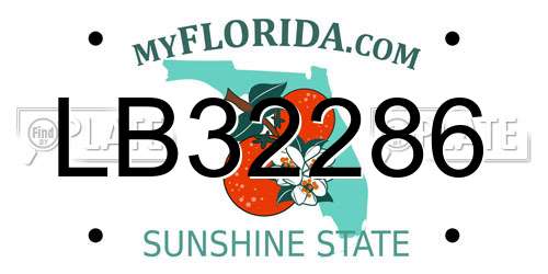 LB32286 Florida License Plate
