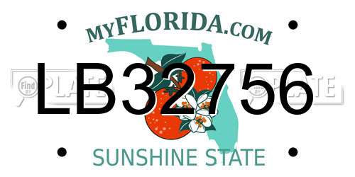 LB32756 Florida License Plate