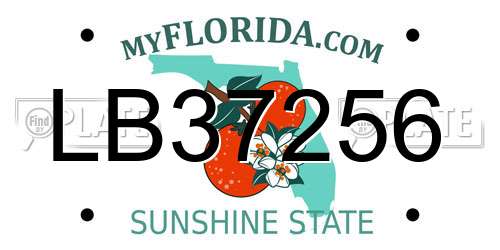 LB37256 Florida License Plate