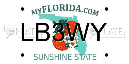 LB3WY Florida License Plate