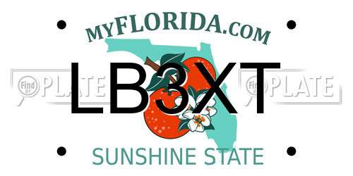 LB3XT Florida License Plate