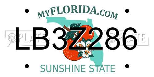 LB3Z286 Florida License Plate