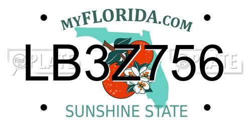 LB3Z756 Florida License Plate