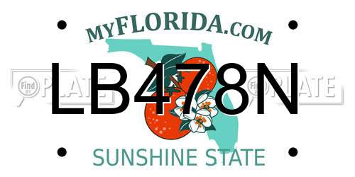 LB478N Florida License Plate