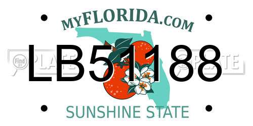 LB51188 Florida License Plate