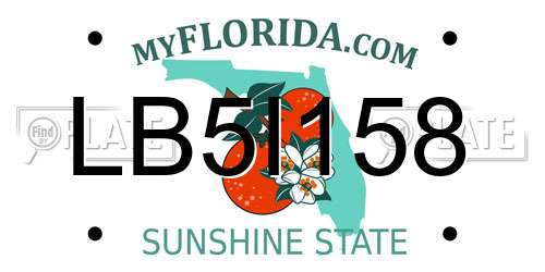 LB5I158 Florida License Plate