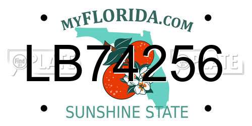 LB74256 Florida License Plate