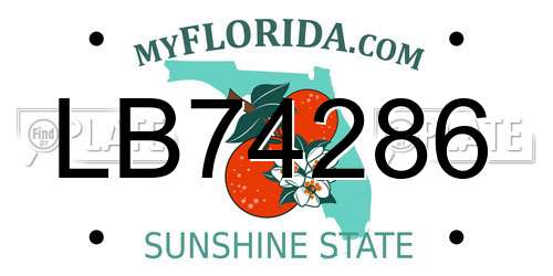 LB74286 Florida License Plate