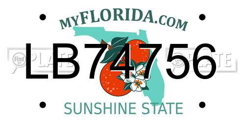 LB74756 Florida License Plate