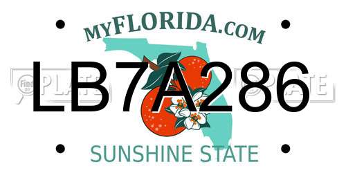 LB7A286 Florida License Plate