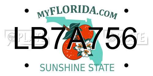 LB7A756 Florida License Plate