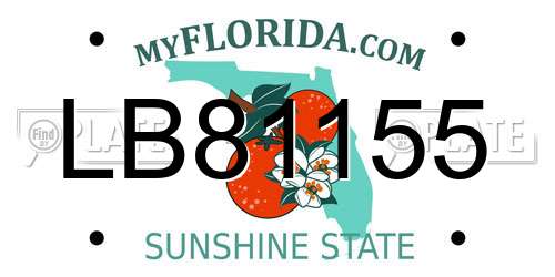 LB81155 Florida License Plate