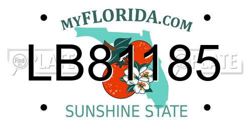 LB81185 Florida License Plate