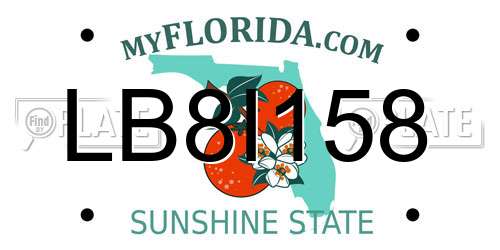 LB8I158 Florida License Plate