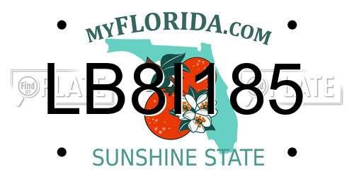 LB8I185 Florida License Plate
