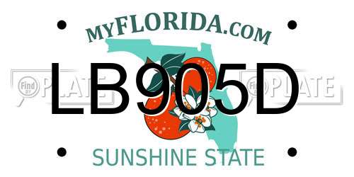 LB905D Florida License Plate