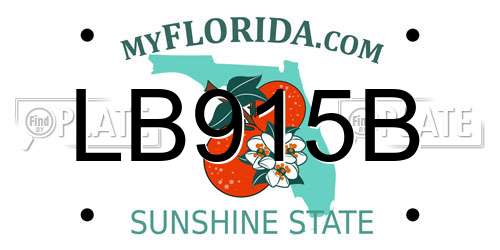 LB915B Florida License Plate