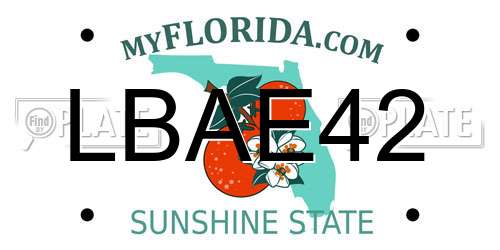 LBAE42 Florida License Plate