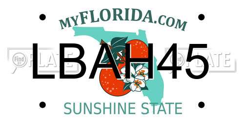 LBAH45 Florida License Plate