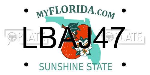 LBAJ47 Florida License Plate