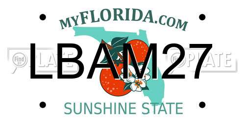 LBAM27 Florida License Plate
