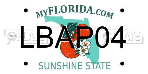 LBAP04 Florida License Plate