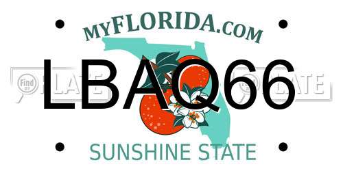 LBAQ66 Florida License Plate