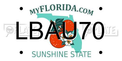 LBAU70 Florida License Plate